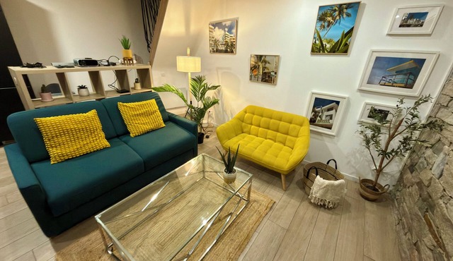 HypercentredeVienne Duplex Miami with cinema screen for 6 people