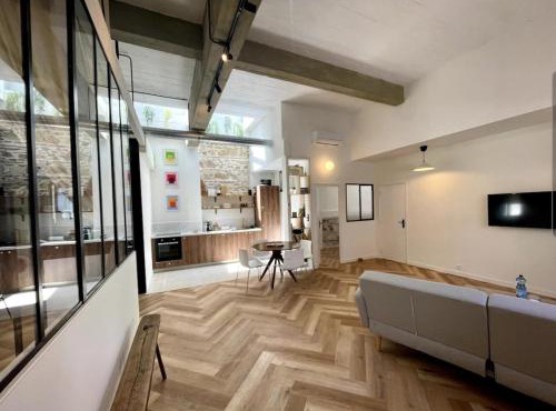 I Loft Vichy , climatisé et garage privée