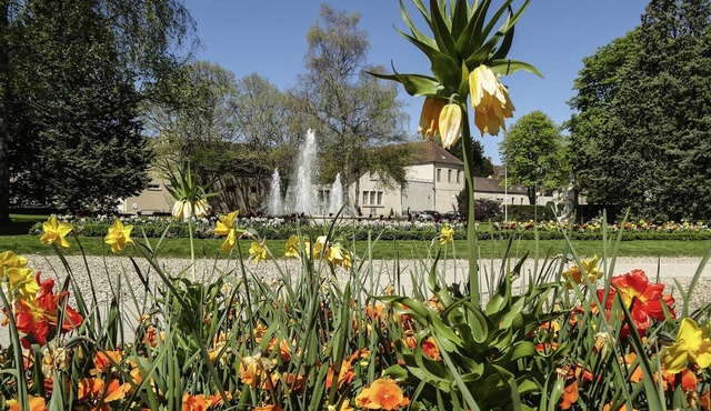 ibis budget Nuits Saint Georges