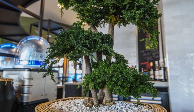 ibis budget Rouen Centre Rive Gauche