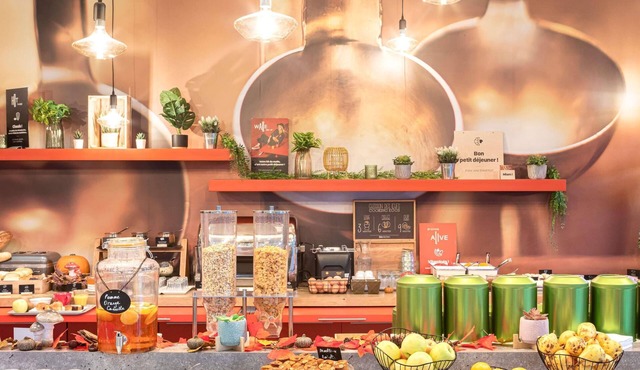 ibis Lyon Gerland Musée des Confluences