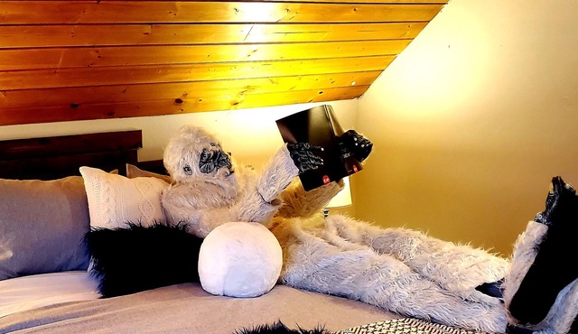 IceBerg Farms, even a Yeti can chill here!