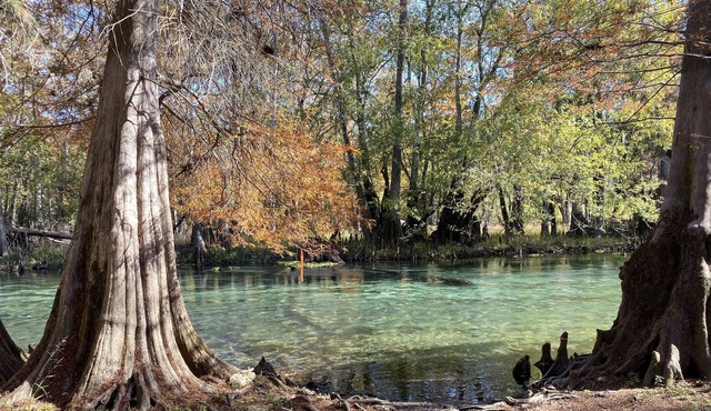 Ichetucknee River house