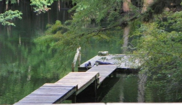 ICHETUCKNEE RIVER - Riverfront on the Crystal Clear Ichetucknee River