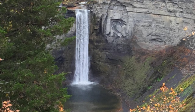 Iconic Finger Lakes Home Cornell Ithaca College Grad Weekends/Grassroots 2026