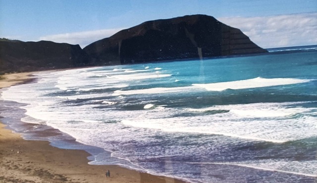 Iconic Wainui Beach a 100m stroll. Relax in Tropical type surroundings.