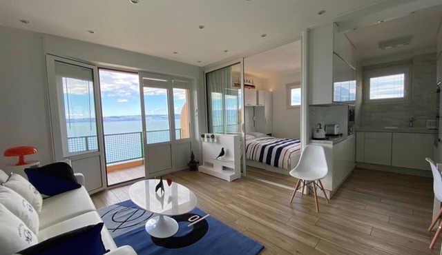 Idéalement Situé sur les Quais D'evian Avec vue Panoramique sur le lac Léman