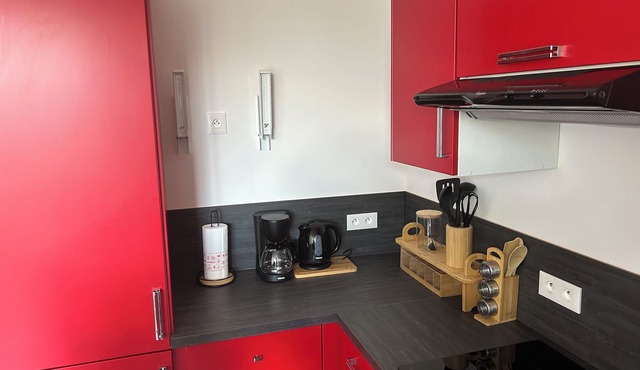 Idéalement Placé de Nombreux Sites des JO aux Alentours. Appartement Récent