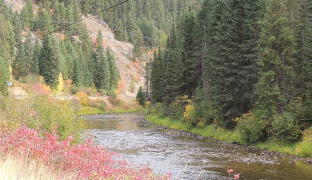 Idaho Wilderness Cabin