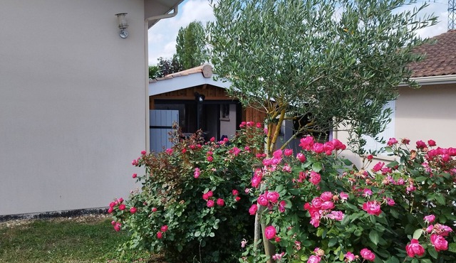 Ideal apartment near Bordeaux and amenities (shopping center, restaurants, cinema)