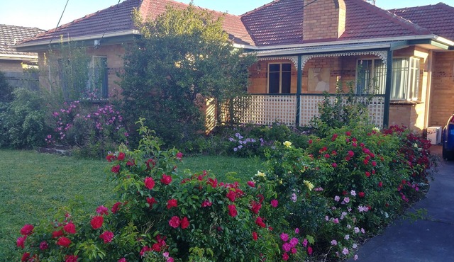 Ideal Business and Family accommodation