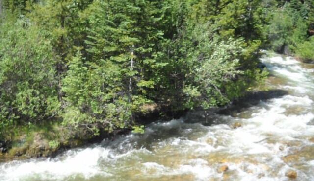 Ideal for a family! Close to Denver, lots of outdoor activity nearby.