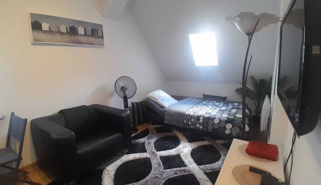 Ideal for Airport Heaven Sierentz Apartment