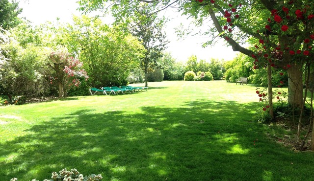 Ideal for family and friends gatherings. Invite peace and rest.