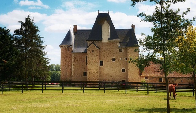 Ideal for the 24 Hours of Le Mans