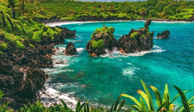 Ideal Hawaii Vacation! 2 Lovely Garden View Units, Pool