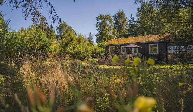 Ideal holiday home for nature and peace