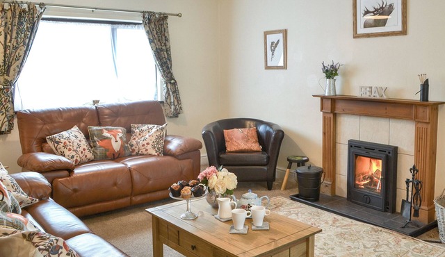 Ideal home from home with a cosy wood burner for those cooler nights.