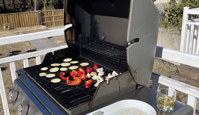 Ideal house for curists and families