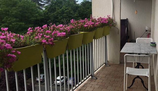 Ideal location for visiting Bordeaux and the surrounding area, quiet apartment
