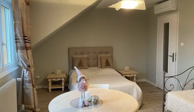 Ideal on the Alsace Wine Route 1 room 2/3 pers in a villa + pool