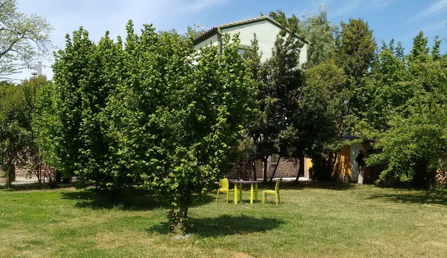 Ideal pets: apartment in house with garden - first floor.