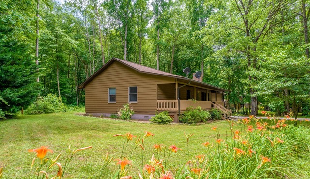 Ideal Wooded Gem W/Large Deck, Gas Grill, Free WiFi, Firepit & Creek