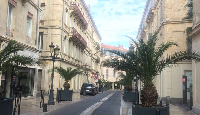 Ideally located apartment, Nîmes center, renovated