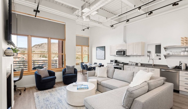 Ideally located, well equipped condo in Basalt's Willits town center.