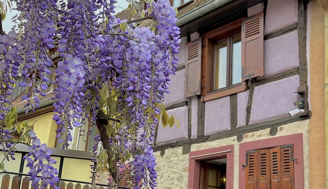 IdeAlsace - House 6 beds