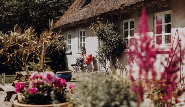 Idillyc house on horsefarm called Enggaarden