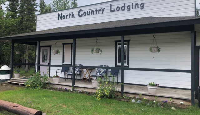 Iditarod Cabin-Modern Comfort in the Last Frontier (For families or casual travelers)
