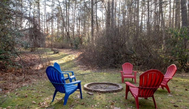 Idle Hour minutes to Dupont State Forest or Pretty Place