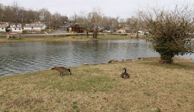 Idlewild at Duck Harbor Resort