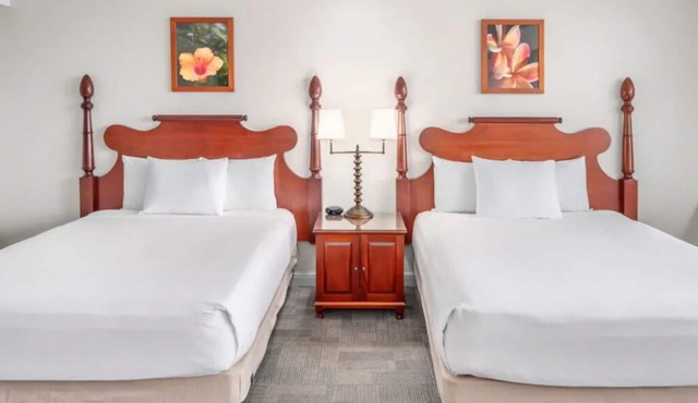 Idyllic Beach Retreat | 4 Family Ready Oceanfront Rooms w/Access to Pool