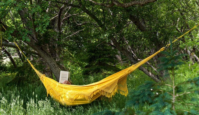 Idyllic beach vacation house