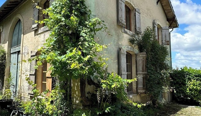Idyllic converted gite barn amongst the orchards in sunflower country, SW France