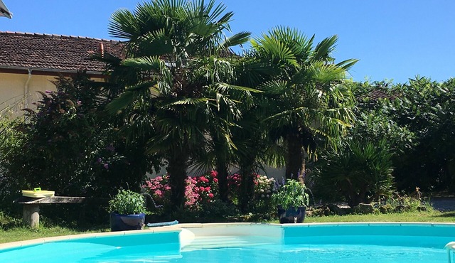 Idyllic country farmhouse with swimming pool near Gascony vineyards (Marciac)