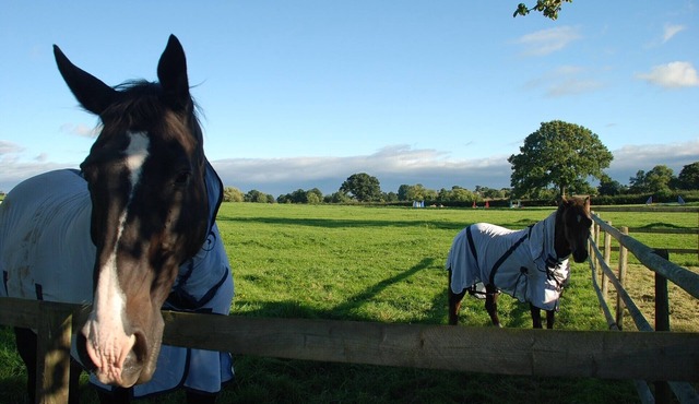 Idyllic country getaway-5 Bedroom cottage on edge of the Cotswolds.
