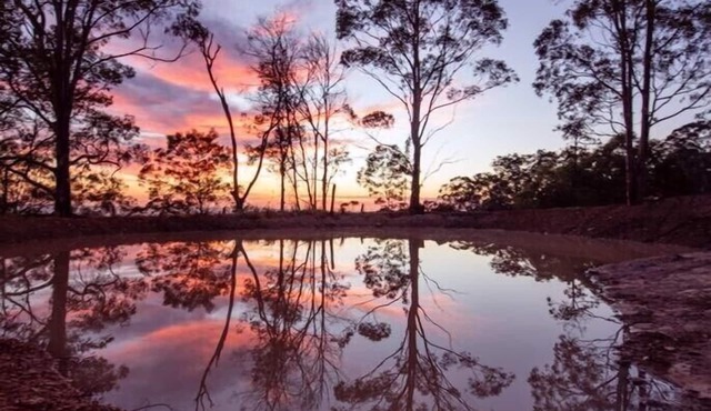 Idyllic Family Getaway on a farm - Blue Mountain