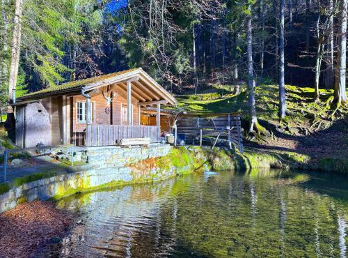 Idyllic Farm Cabin with Scenic Views and Concierge by SwissHut