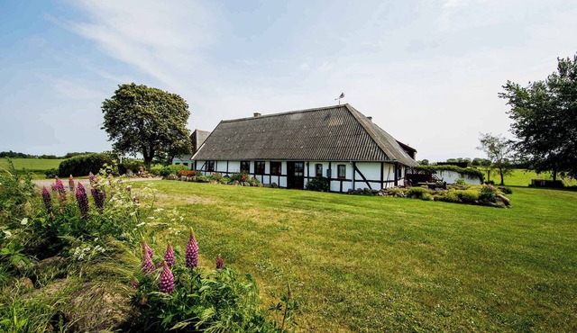 Idyllic farmhouse 600 m from the Little Belt