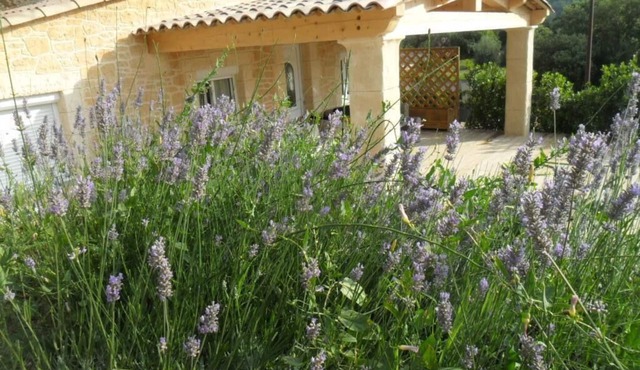 IDYLLIC MAS PROVENCAL ANY COMFORT WITH POOL AND PRIVATE TERRACE