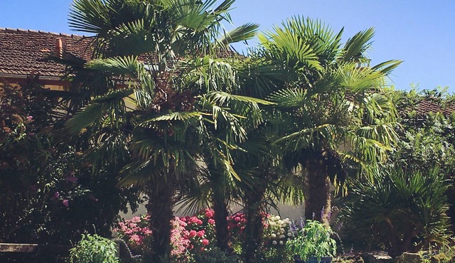 Idyllic Gascony farmhouse with pool and original mediterranean details (Gers)