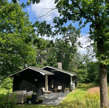 Idyllic Holiday Home With Forest View
