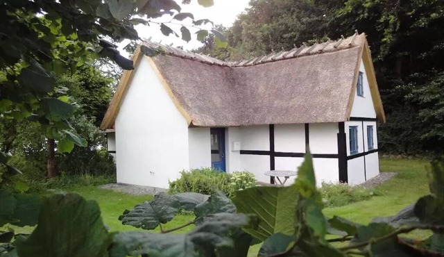 Idyllic location directly to the forest and Baltic Sea and with its own beach