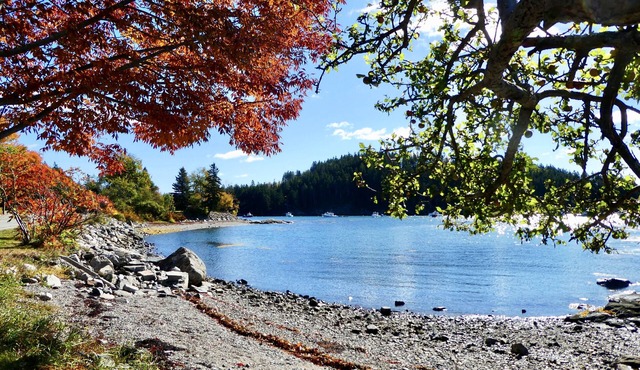 Idyllic One Bedroom Suite with Delightful Ocean and Island Views near Acadia