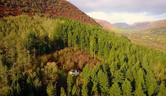 Idyllic Romantic Forest Retreat