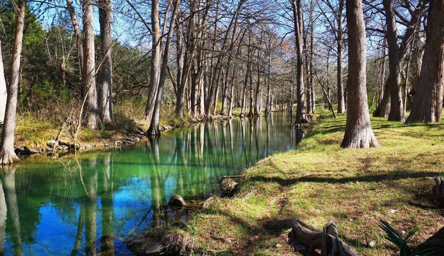 Idyllic spot right on the Cypress Creek! Close to town. A perfect getaway!