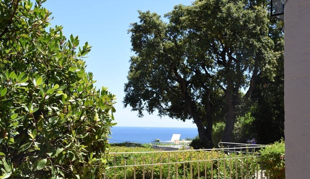 Idyllic vacation dream